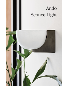 Ando Sconce light