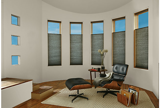 Levolor Cellular Shades for Window