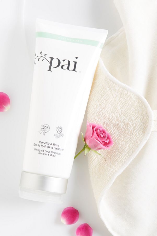 Pai Skincare Camellia and Rose Gentle Hydrating Cleanser 200ml的圖片搜尋結果