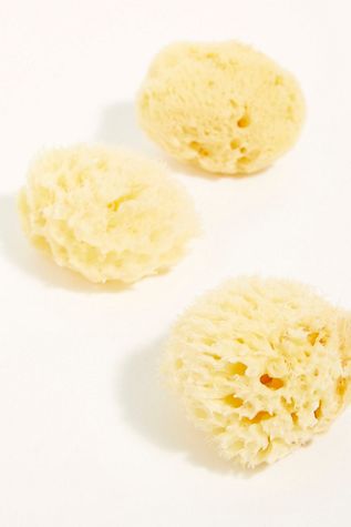 Hydrea London Cosmetic Sea Sponge Set