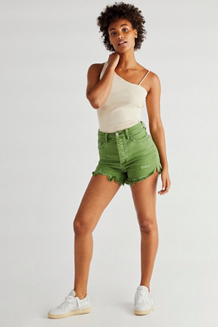 crvy vintage high rise short