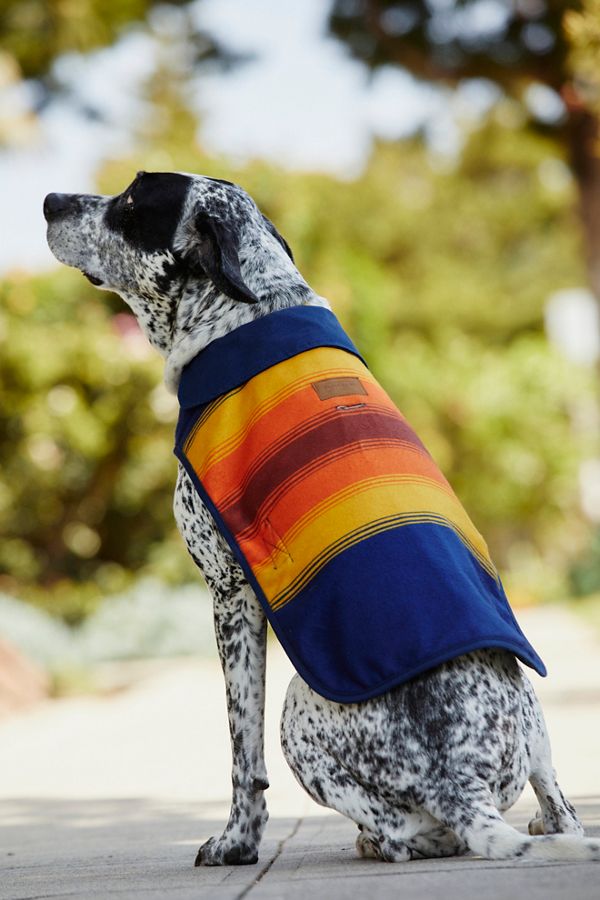 Pendleton Grand Canyon Dog Coat Free People