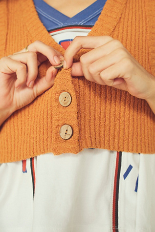 free people sweater vest