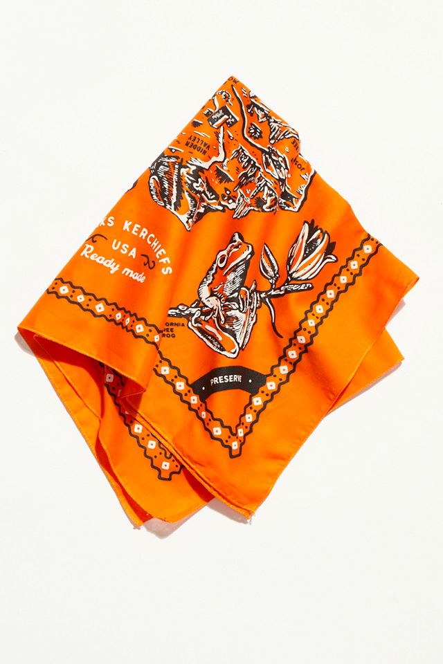 Free People Hanks Kerchiefs x Parks Project Bandana. 5