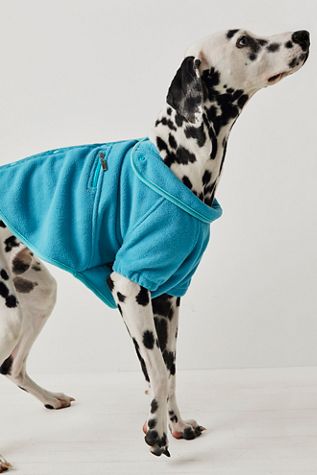 Hit The Slopes Pet Jacket