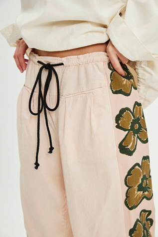 Hudson Canyon Side Printed Pants