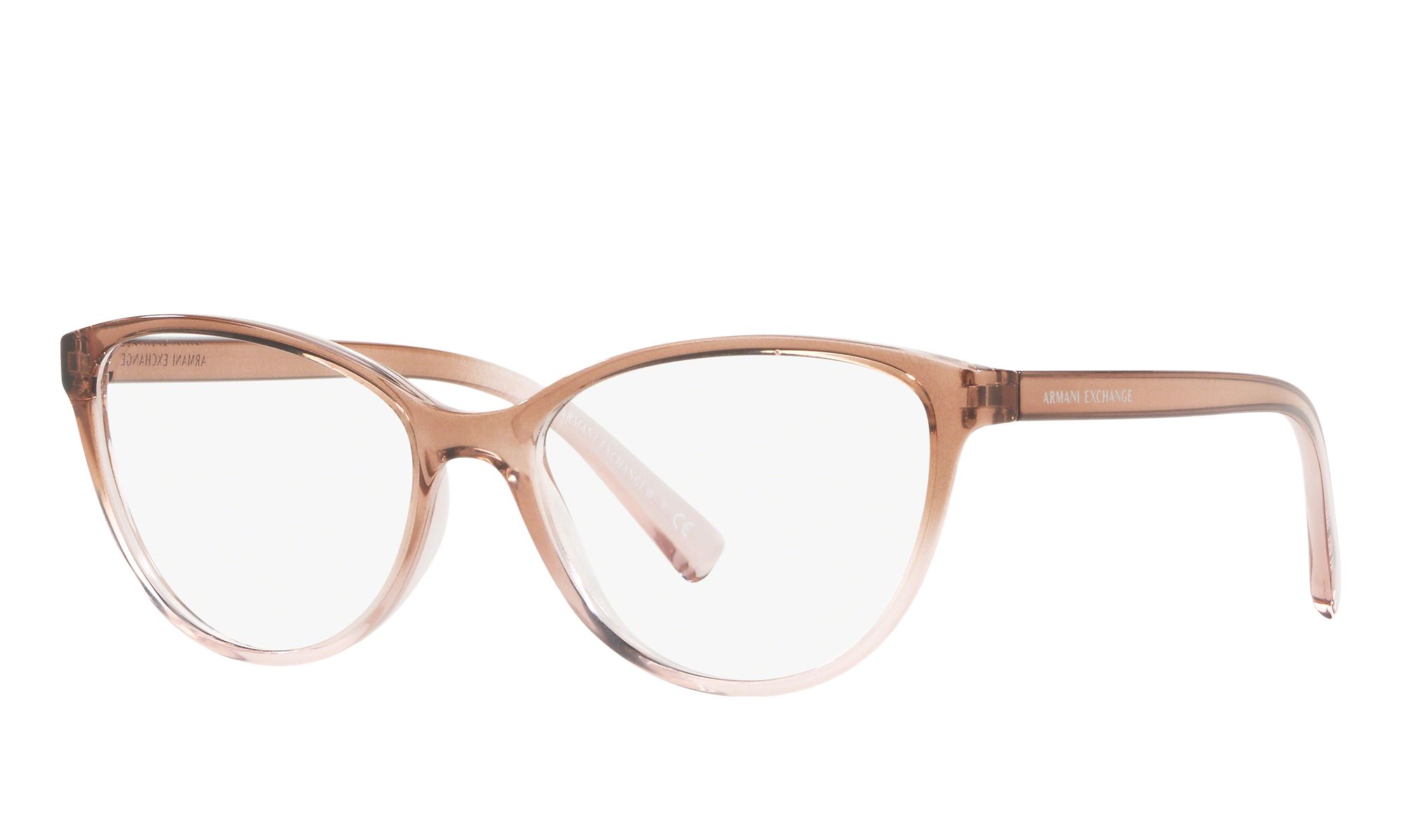 ax1010 eyeglasses