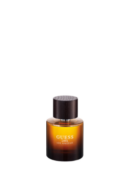 guess los angeles chaussure