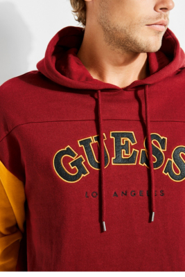 guess roy colorblock hoodie