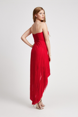 mesh bustier gown