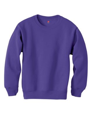 Hanes Boys Girls Crewneck Sweatshirt ComfortBlend EcoSmart Kids Youth Low  Pill | eBay