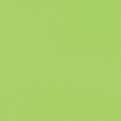 Neon Lime Green (NG)
