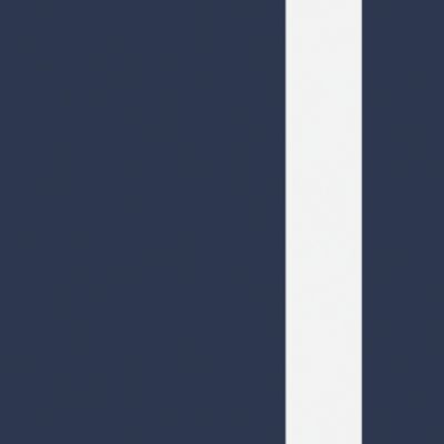 Navy White