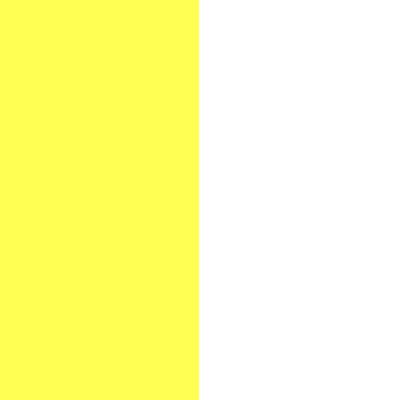  Neon Yellow White