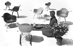 Eames Molded Plastic chairs