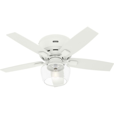 Hunter Bennett Low Profile With Led Globe 44 Inch Ceiling Fan
