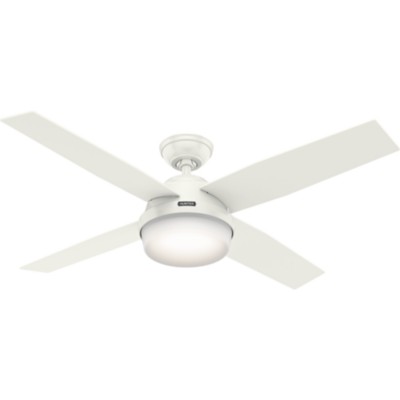 Hunter Dempsey Outdoor with Light 52 inch Ceiling Fan