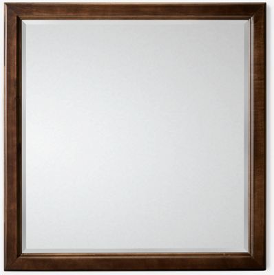 Pure Maple Landscape Mirror - Solid American Maple - Molded Wood Frame - Beveled Glass