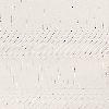 Birch White