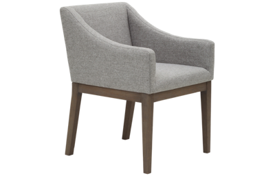 Accentrics Home Shelter Chair