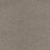 DERBY TAUPE