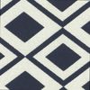 SAVVY INDIGO