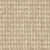 ASPEN PUTTY