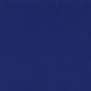 CANVAS TRUE BLUE