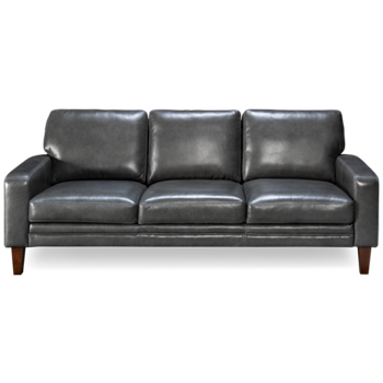 Brewster Leather Sofa