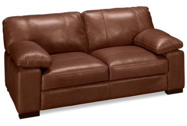Dallas Leather Loveseat