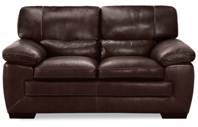 Amarillo Leather Loveseat