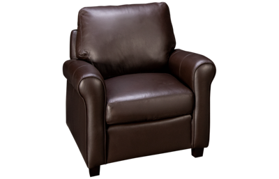 Laguna Leather Chair