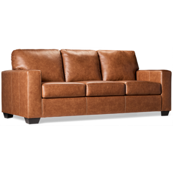 Arlington Leather Sleeper Sofa