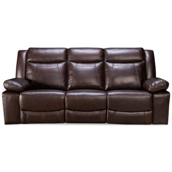 Dallas Leather Dual Power Sofa Recliner