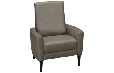 Vida Leather Pushback Recliner