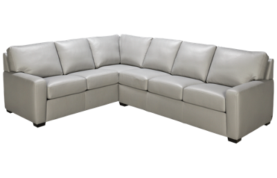 Carson 2 Piece Sectional