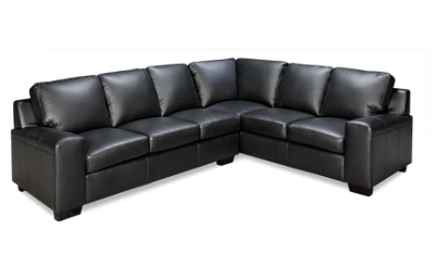 Bailey 2 Piece Leather Sectional