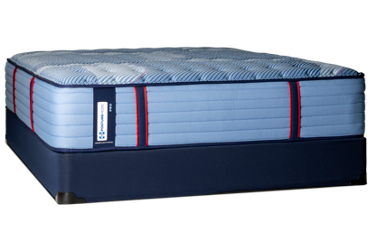 Sealy Posturepedic Pro® Latham Firm Mattress - Cooling Cover - SealyComfort™ Gel Memory Foam - Individually Wrapped Coils (FIRM)