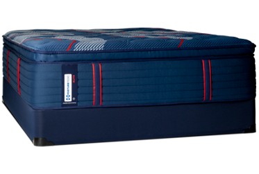 Sealy Posturepedic Elite® Brenham II Medium Euro Pillowtop Mattress 