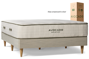 Avocado Green Organic Mattress