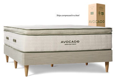 Avocado Green Organic Eurotop Mattress