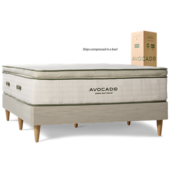 Avocado Green Organic Eurotop Mattress