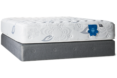 PranaSleep® Asha Classic Firm Mattress