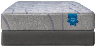 Dharma Elite Plush Mattress – City Mattress