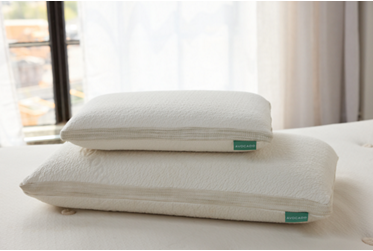 Avocado Latex Pillow - GOTS Certified Organic Cotton Zippered Cover - Charcoal Infused Latex Core - Dunlop Latex Core - Eco-Friendly Materials