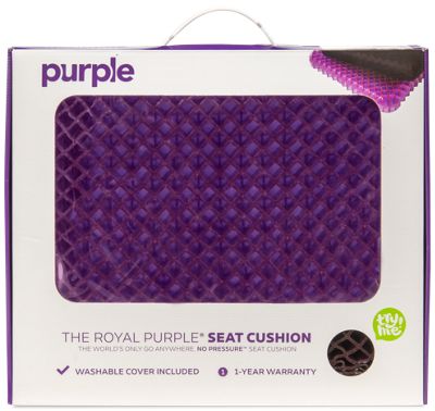 Royal Purple Cushion