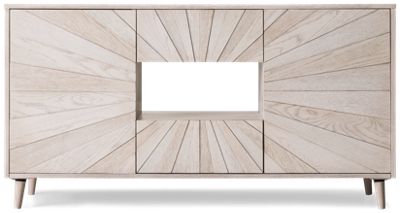 Reece 60" 2 Door 2 Drawer Console