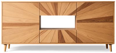 Reece 70" 2 Door 2 Drawer Console