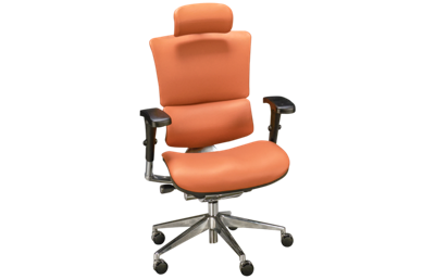 X-Chair X4 Wide Seat Swivel Office Chair with