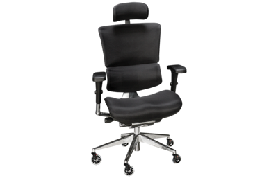 X-Chair X3 Swivel Office Chair with Casters